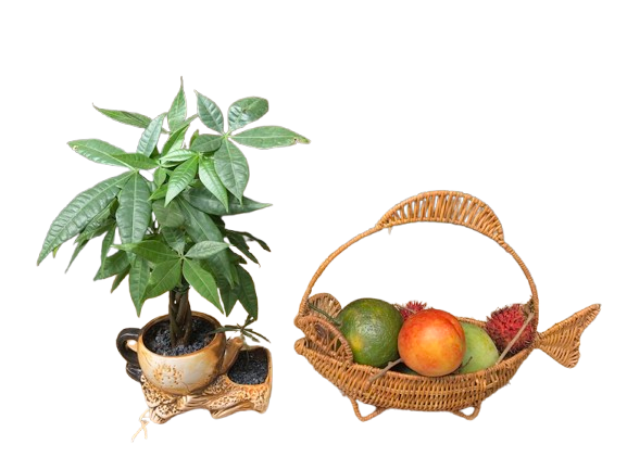 ảnh của sản phẩm Rổ mây trang trí decor hình con cá đựng trái cây/ bánh kẹo số 5